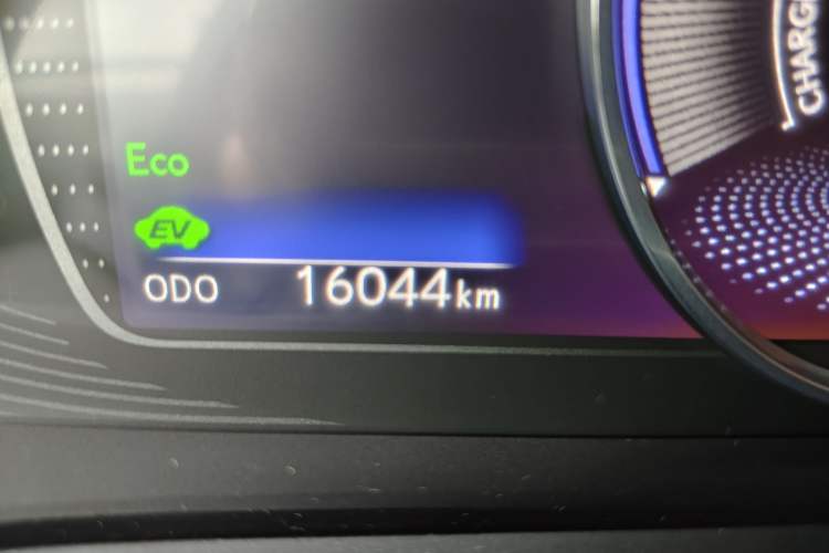 Used Lexus ES 2018 300h Premium Edition China VI Standard Odometer Close Up