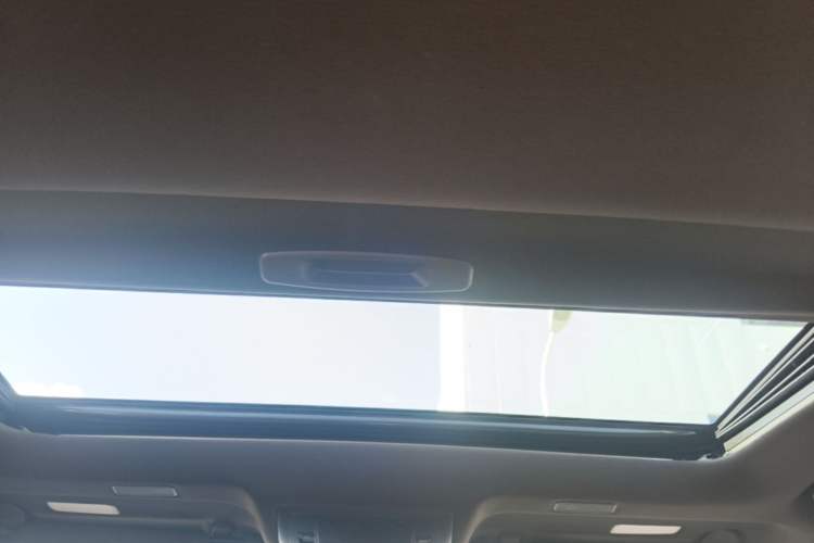 Used Lexus ES 2018 300h Premier Edition China VI Standard Headliner