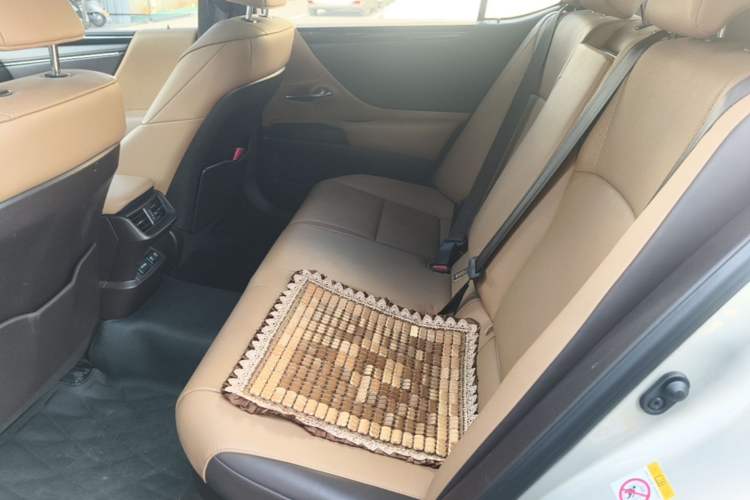 Used Lexus ES 2018 300h Premier Edition China VI Standard Left Rear Seat
