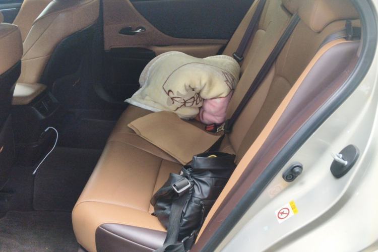 Used Lexus ES 2018 200 Excellence Edition China VI Standard Left Rear Seat