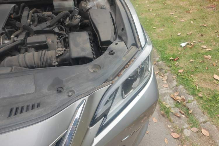 Used Lexus ES 2018 300h Premier Edition China VI Standard Engine Bay Left