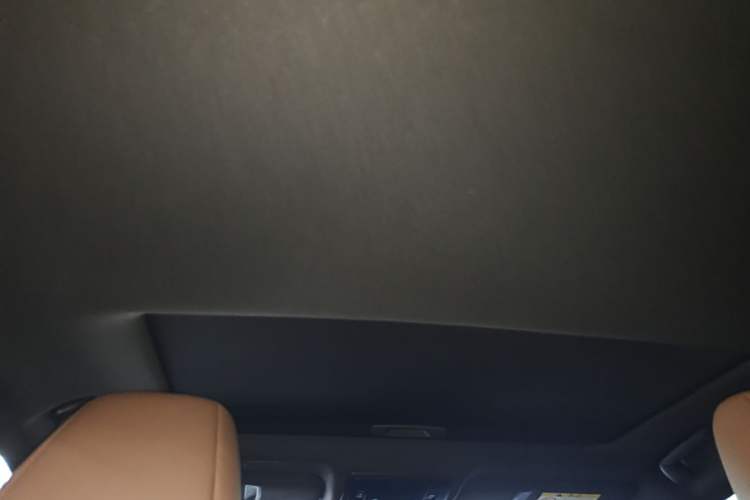 Used Lexus ES 2018 300h Premier Edition China VI Standard Headliner