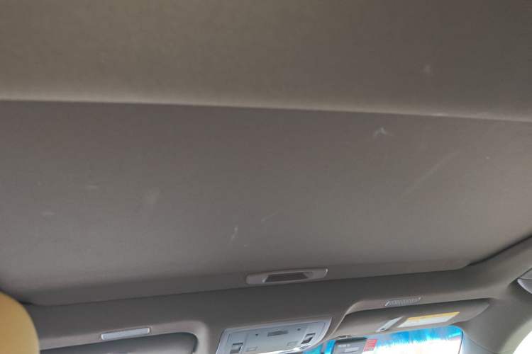 Used Lexus ES 2018 300h Premier Edition China VI Standard Headliner