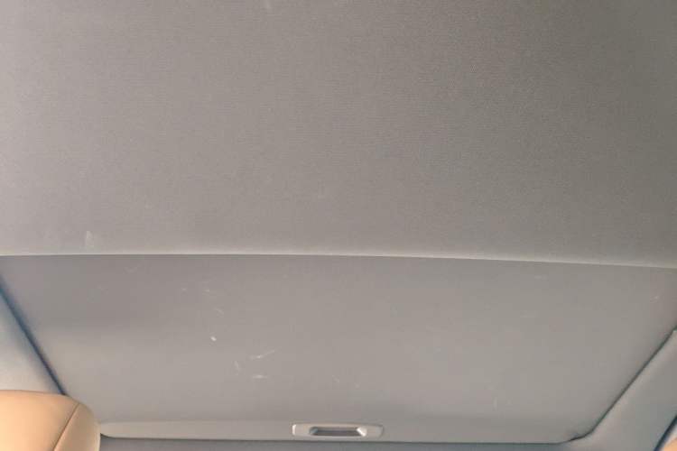 Used Lexus ES 2018 300h Premium Edition China VI Standard Headliner