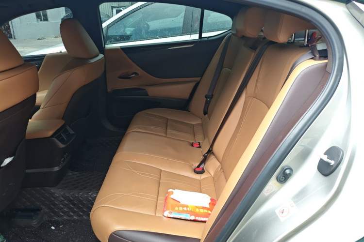 Used Lexus ES 2018 300h Premium Edition China VI Standard Left Rear Seat