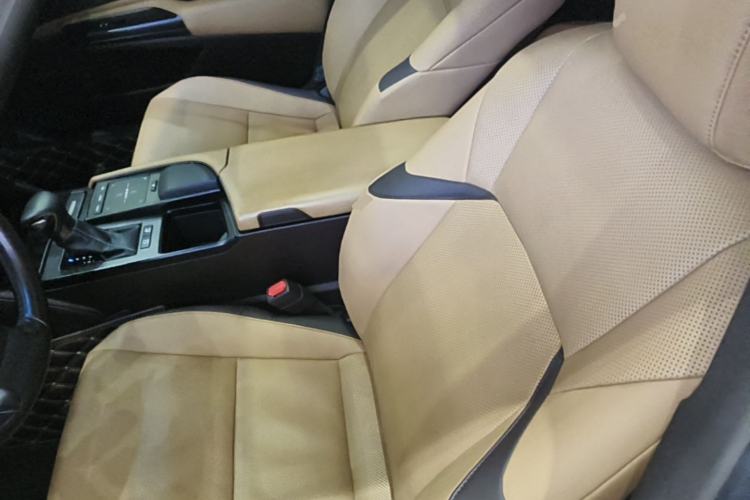 Used Lexus ES 2018 300h Premier Edition China VI Standard Left Front Seat