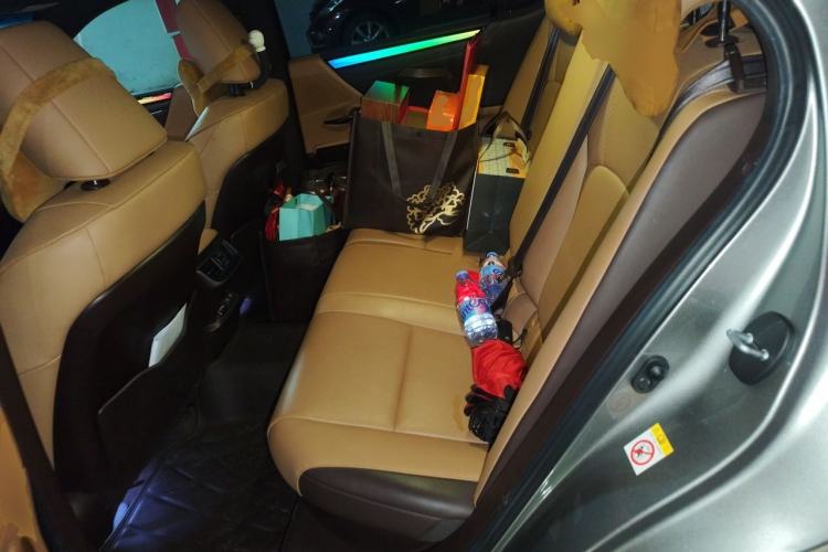 Used Lexus ES 2018 300h Premier Edition China VI Standard Left Rear Seat