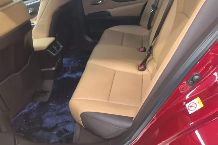 Used Lexus ES 2018 200 Luxury Edition China V Standard Left Rear Seat