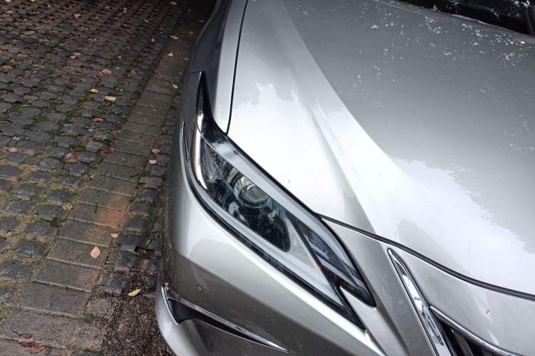 Used Lexus ES 2018 300h Premier Edition China VI Standard Exterior 6