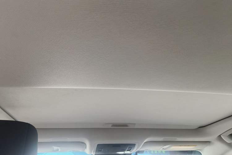 Used Lexus ES 2018 300h Premier Edition China VI Standard Headliner