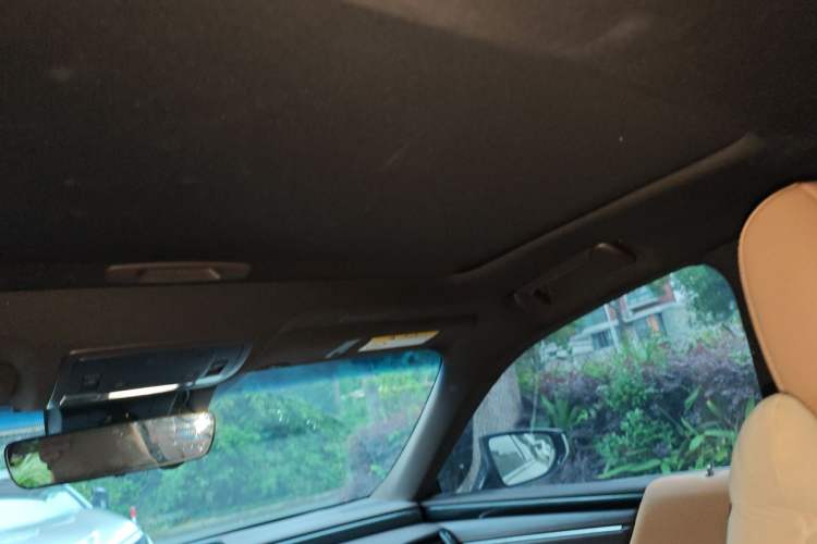 Used Lexus ES 2018 300h Premier Edition China VI Standard Headliner