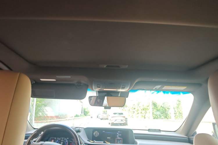 Used Lexus ES 2018 200 Excellence Edition China VI Standard Headliner