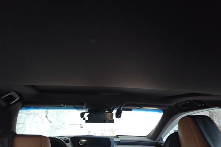 Used Lexus ES 2018 300h Premier Edition China VI Standard Headliner