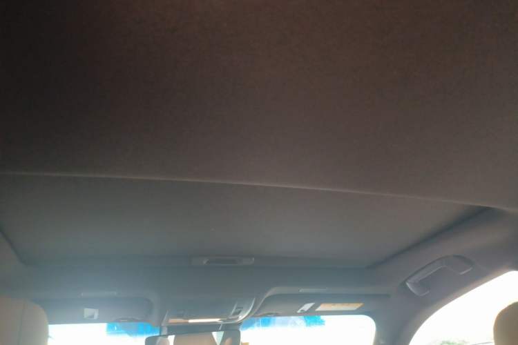 Used Lexus ES 2018 300h Premier Edition China VI Standard Headliner