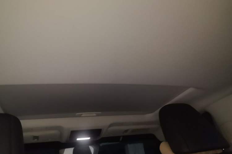 Used Lexus ES 2018 260 Excellence Edition China V Standard Headliner