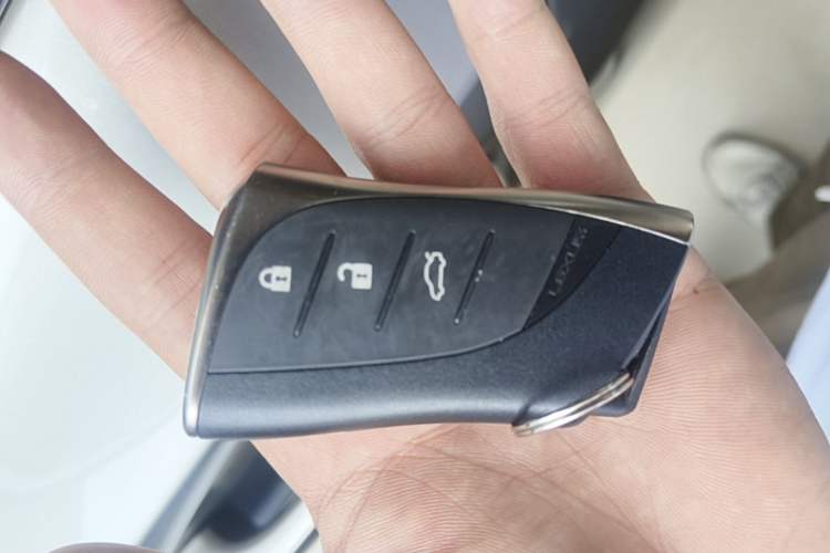 Used Lexus ES 2018 300h Premier Edition China VI Standard Interior 1