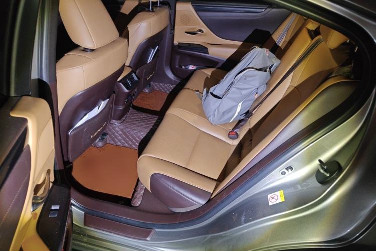 Used Lexus ES 2018 260 Excellence Edition China VI Standard Interior 4