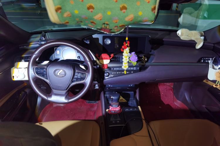 Used Lexus ES 2018 300h Premier Edition China VI Standard Center Console