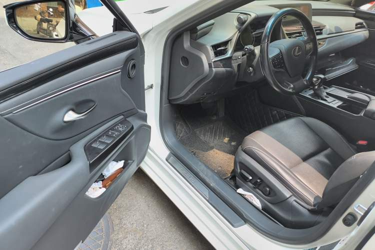 Used Lexus ES 2018 200 Excellence Edition China VI Standard Driver Seat