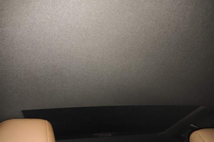Used Lexus ES 2018 200 Excellence Edition China VI Standard Headliner