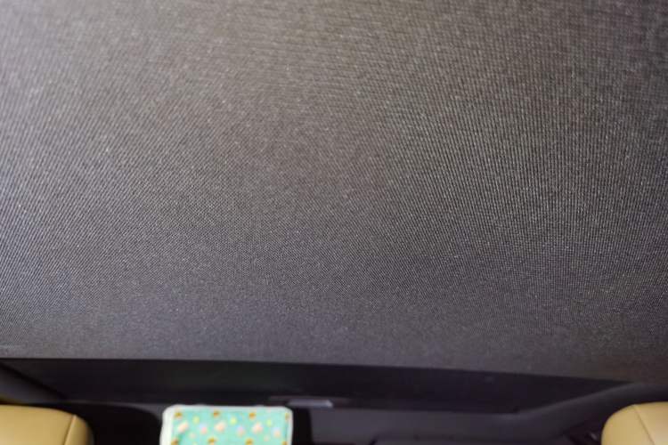 Used Lexus ES 2018 300h Premier Edition China VI Standard Headliner