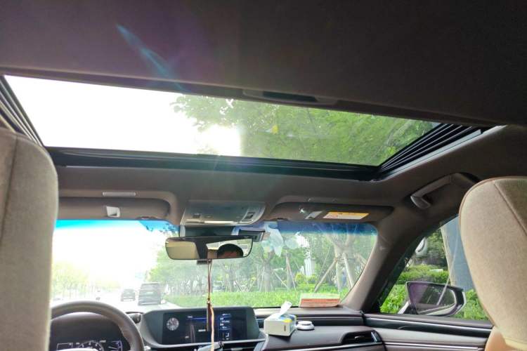 Used Lexus ES 2018 260 Excellence Edition China V Standard Headliner