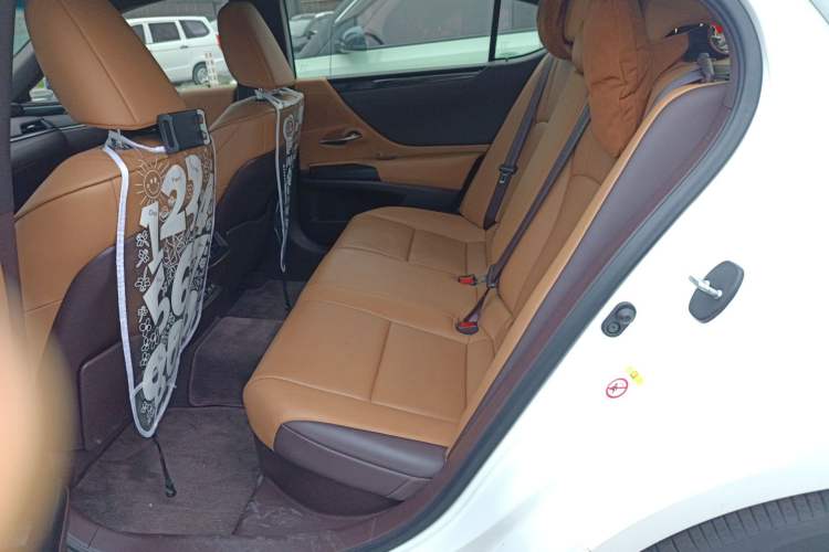 Used Lexus ES 2018 300h Premier Edition China VI Standard Left Rear Seat