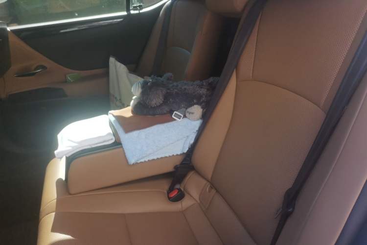 Used Lexus ES 2018 200 Excellence Edition China V Standard Left Rear Seat