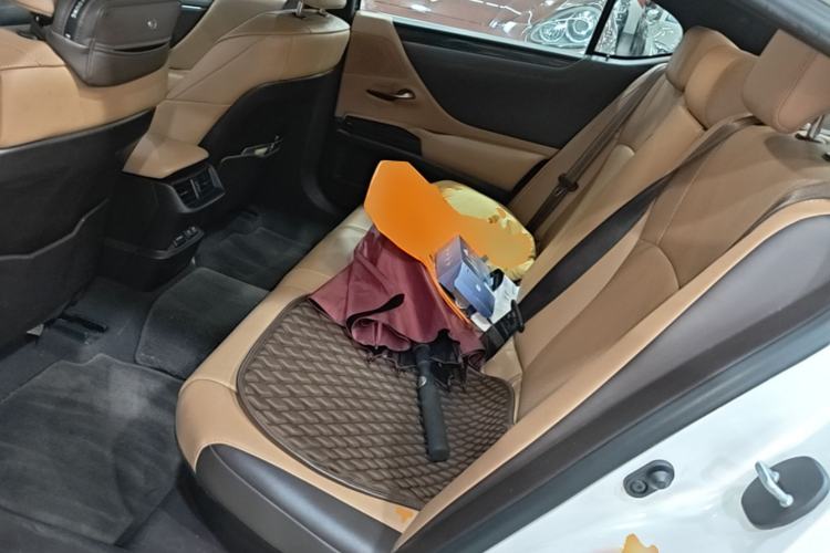 Used Lexus ES 2018 300h Premier Edition China V Standard Left Rear Seat