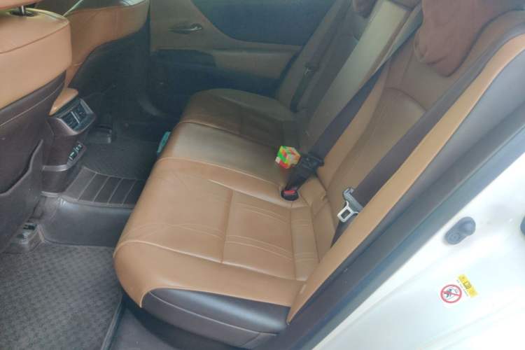 Used Lexus ES 2018 300h Premium Edition China V Standard Left Rear Seat