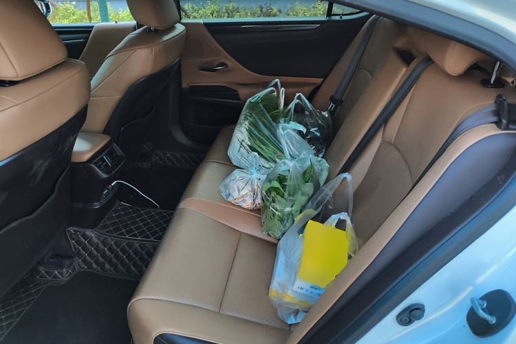 Used Lexus ES 2018 200 Excellence Edition China V Standard Left Rear Seat