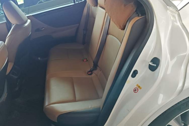 Used Lexus ES 2018 300h Premier Edition China VI Standard Left Rear Seat