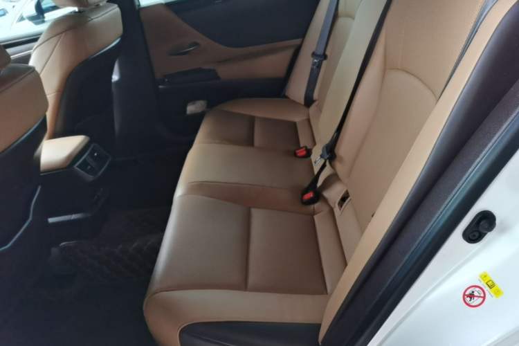 Used Lexus ES 2018 200 Excellence Edition China V Standard Left Rear Seat
