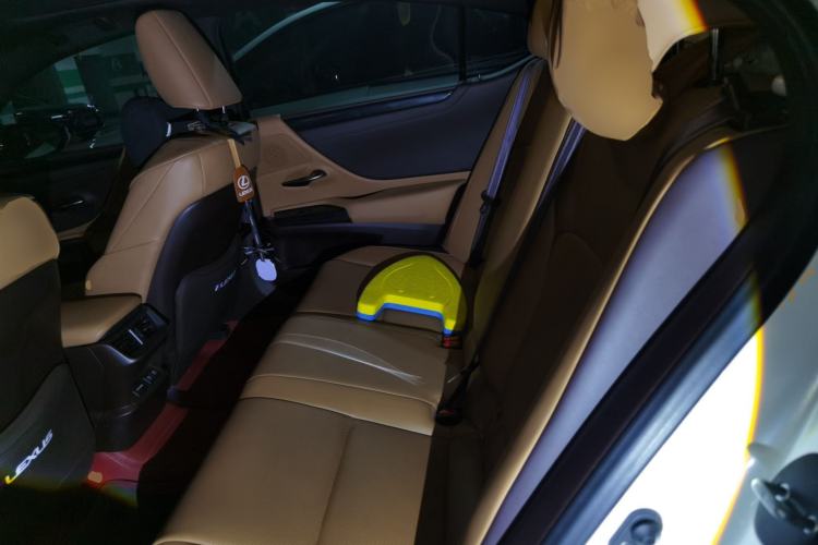 Used Lexus ES 2018 300h Premier Edition China VI Standard Left Rear Seat
