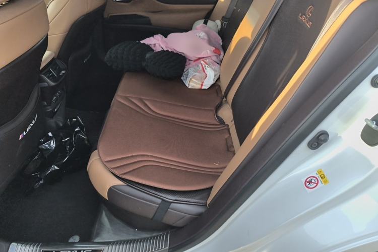 Used Lexus ES 2018 300h Premier Edition China VI Standard Left Rear Seat