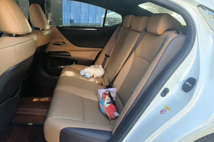 Used Lexus ES 2018 200 Excellence Edition China VI Standard Left Rear Seat