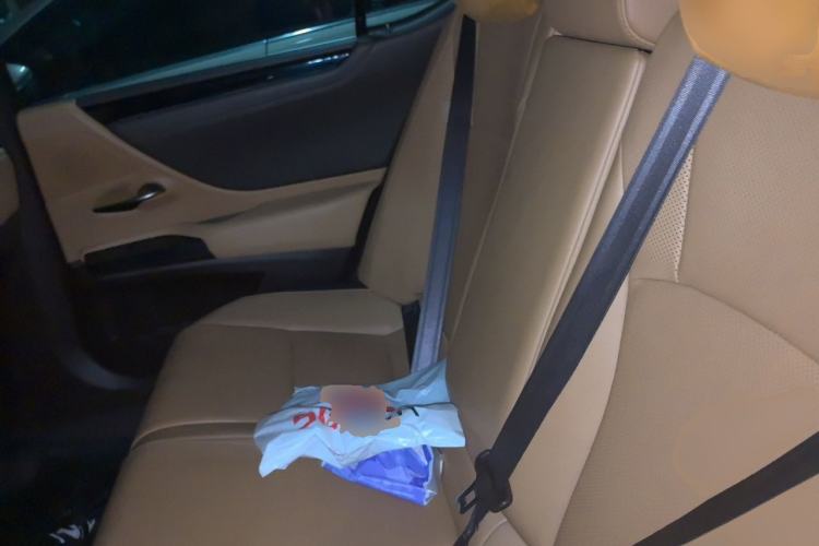 Used Lexus ES 2018 300h Premier Edition China V Standard Left Rear Seat