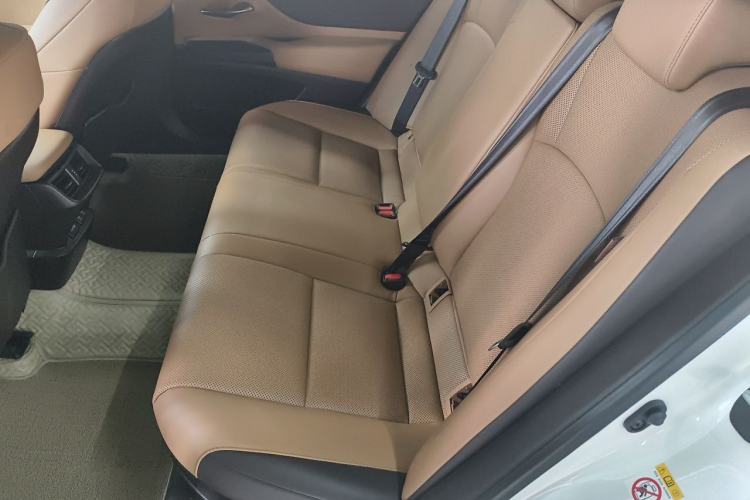 Used Lexus ES 2018 300h Premier Edition China VI Standard Left Rear Seat