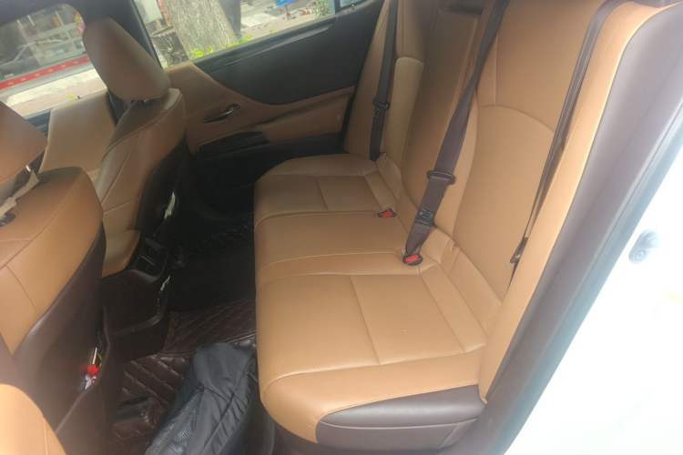 Used Lexus ES 2018 300h Premier Edition China VI Standard Left Rear Seat