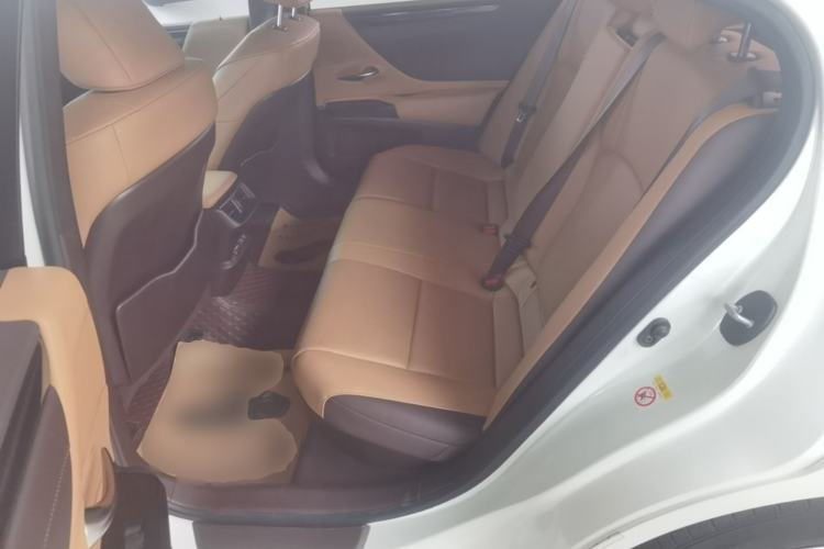 Used Lexus ES 2018 300h Premier Edition China V Standard Left Rear Seat