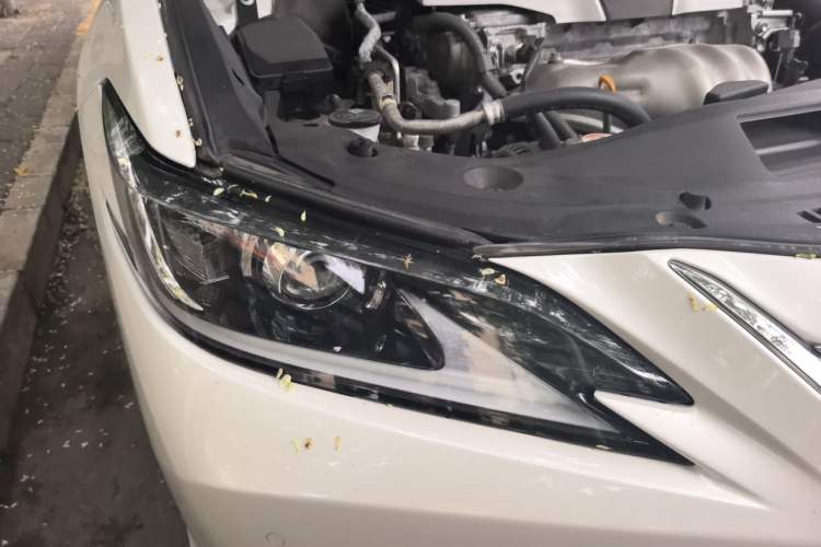 Used Lexus ES 2018 200 Luxury Edition China V Standard Right Front Headlight