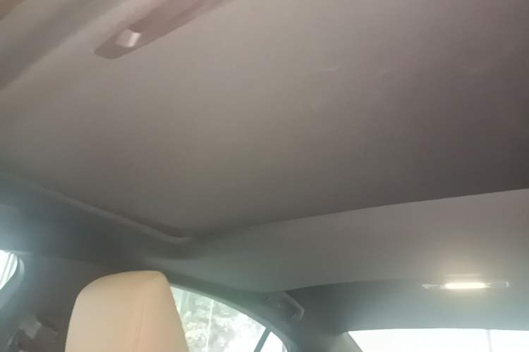 Used Lexus ES 2018 300h Premium Edition China V Standard Headliner