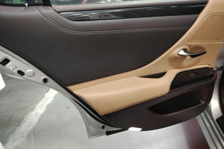 Used Lexus ES 2018 260 Excellence Edition China VI Standard Left Rear Door Interior