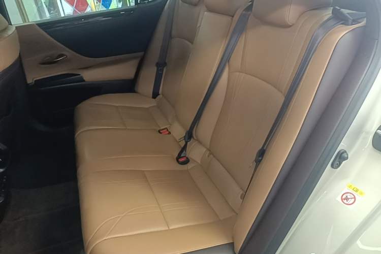 Used Lexus ES 2018 300h Premium Edition China V Standard Left Rear Seat