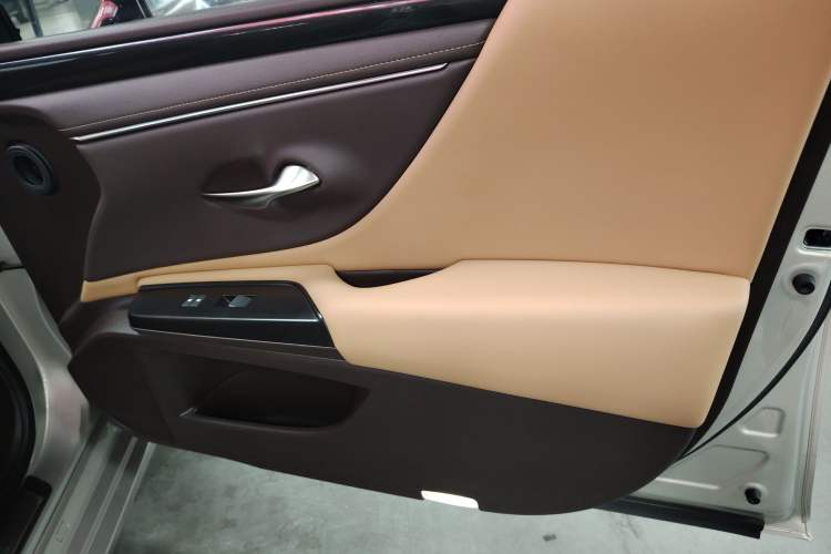 Used Lexus ES 2018 260 Excellence Edition China VI Standard Right Front Door Interior
