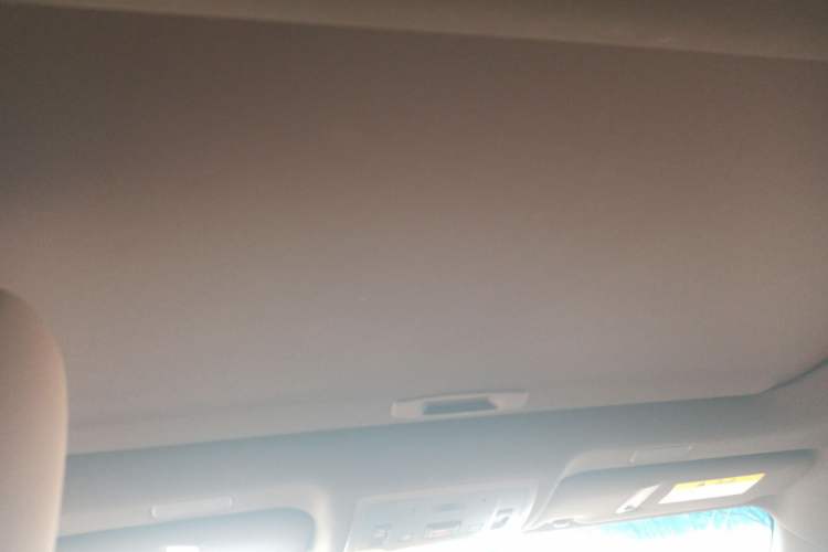 Used Lexus ES 2019 300h Millionth Anniversary Limited Edition China VI Standard Headliner
