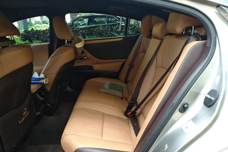 Used Lexus ES 2019 300h Millionth Anniversary Limited Edition China VI Standard Left Rear Seat