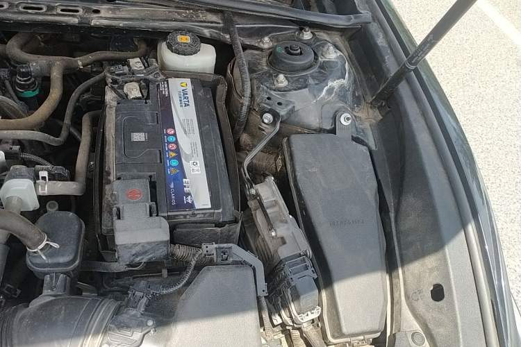Used Lexus ES 2020 260 Excellence Edition Engine Bay Left