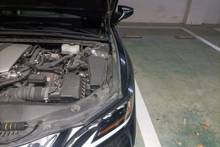 Used Lexus ES 2020 300h Executive Edition Engine Bay Left