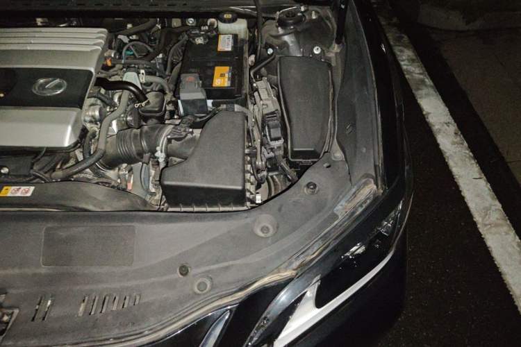 Used Lexus ES 2020 200 Excellence Edition Engine Bay Left
